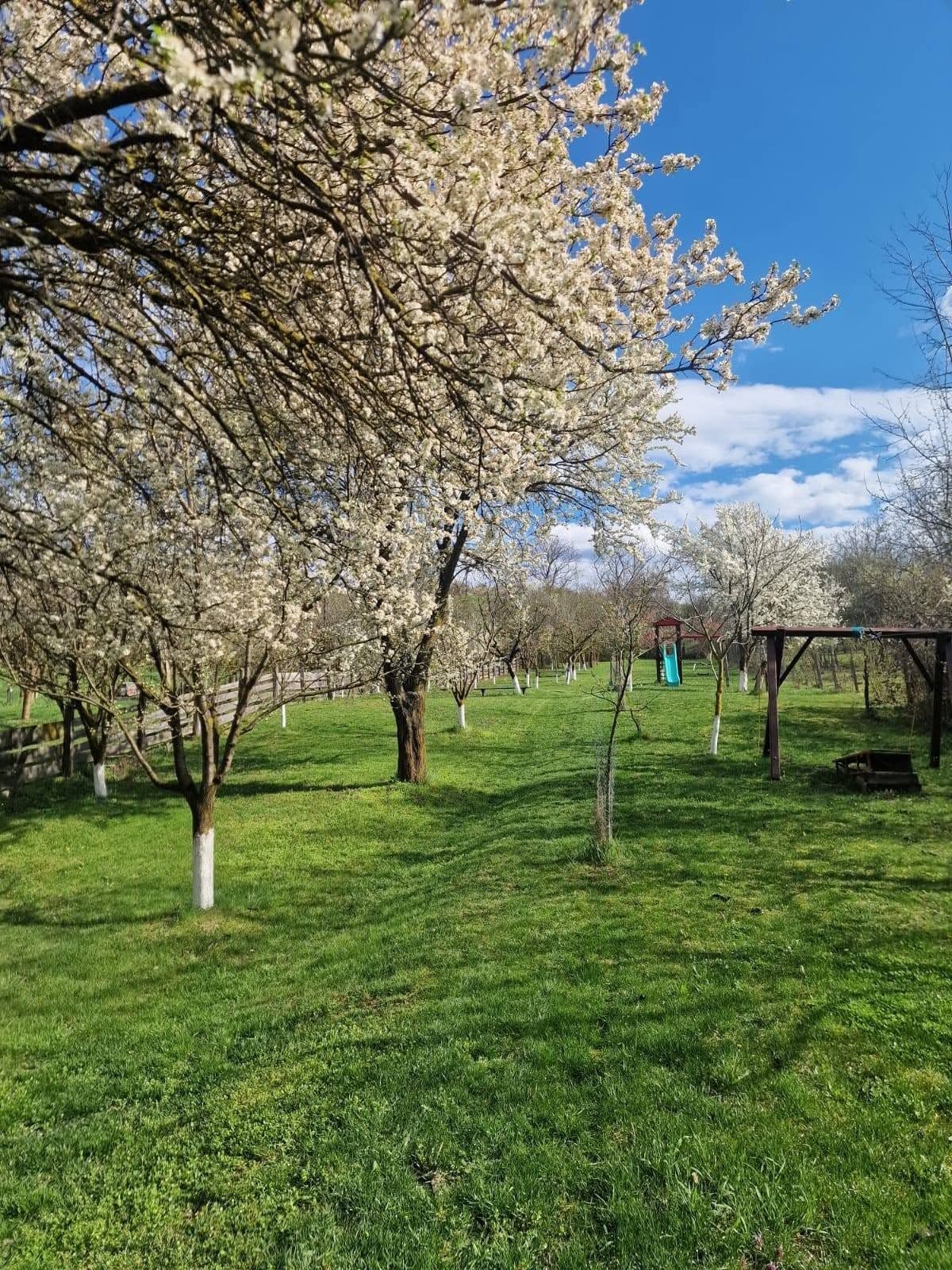 Livada înflorită, cu locul de joacă în depărtare