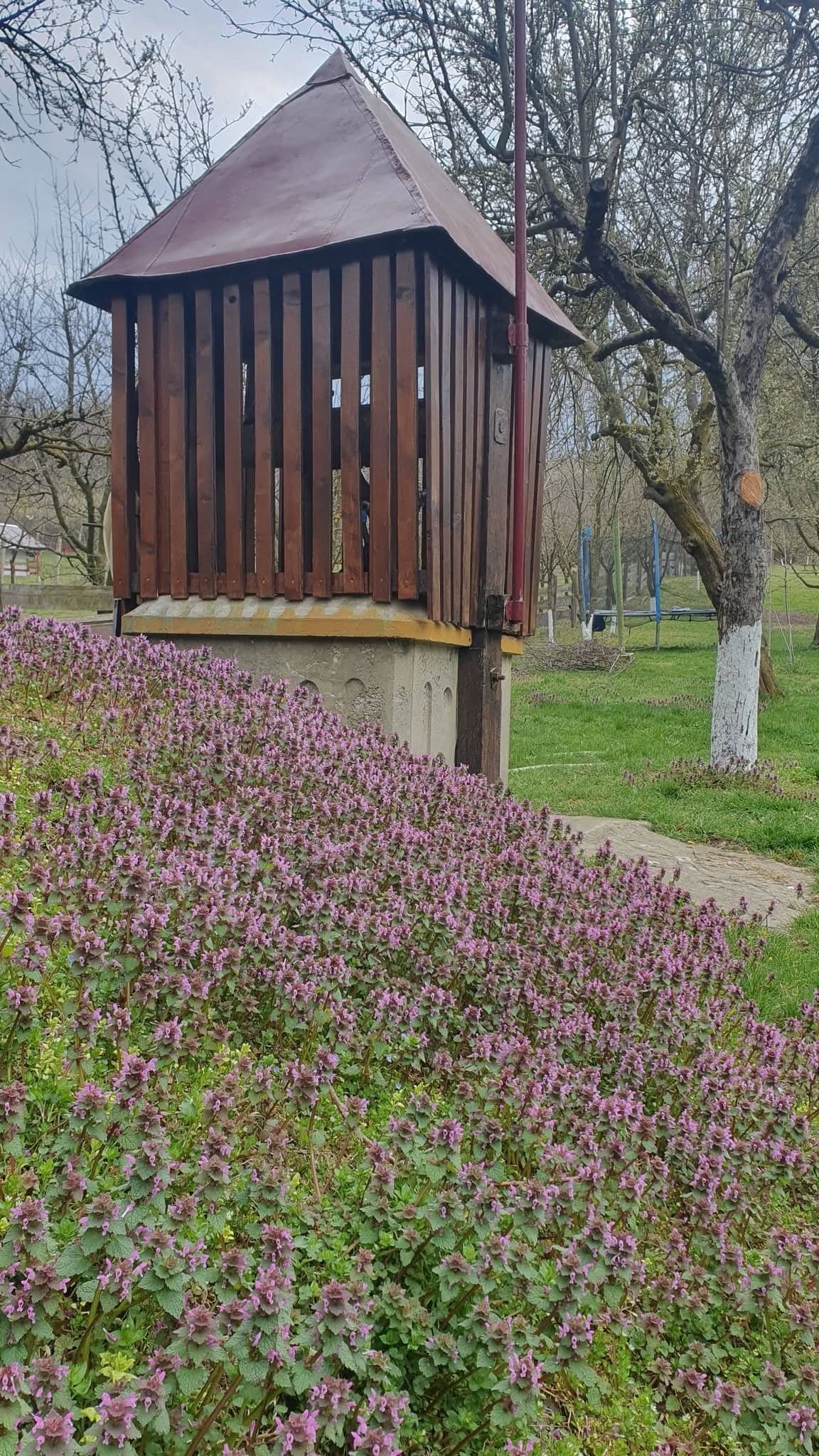 Fântână cu acoperiș din lemn, pe un tăpșan înflorit din livadă